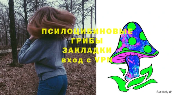 стафф Горнозаводск